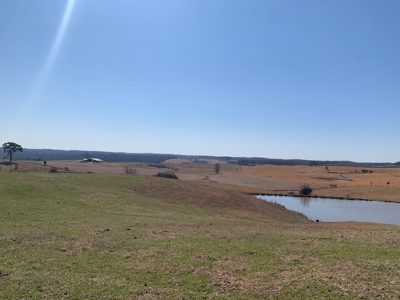 Cattle Ranch and Two Homes Live Water on Acreage in Arkansas - image 33