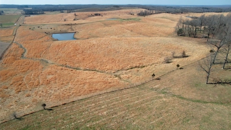 Cattle Ranch and Two Homes Live Water on Acreage in Arkansas - image 16