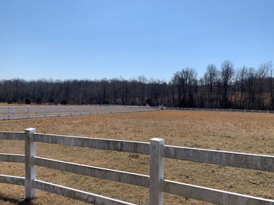 Cattle Ranch and Two Homes Live Water on Acreage in Arkansas - image 27