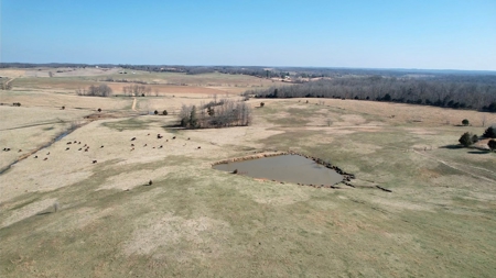 Cattle Ranch and Two Homes Live Water on Acreage in Arkansas - image 9