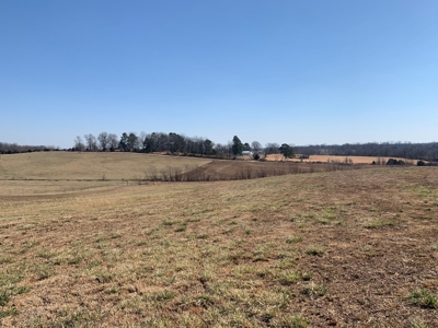 Cattle Ranch and Two Homes Live Water on Acreage in Arkansas - image 41
