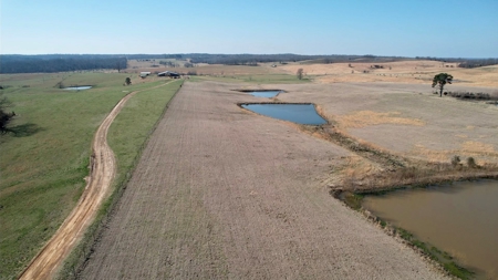 Cattle Ranch and Two Homes Live Water on Acreage in Arkansas - image 15