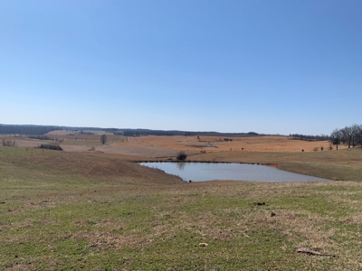 Cattle Ranch and Two Homes Live Water on Acreage in Arkansas - image 30