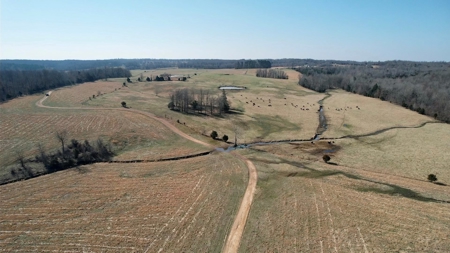 Cattle Ranch and Two Homes Live Water on Acreage in Arkansas - image 8