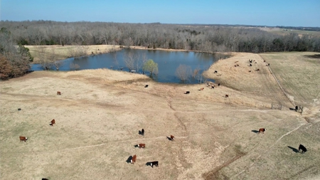 Cattle Ranch and Two Homes Live Water on Acreage in Arkansas - image 7