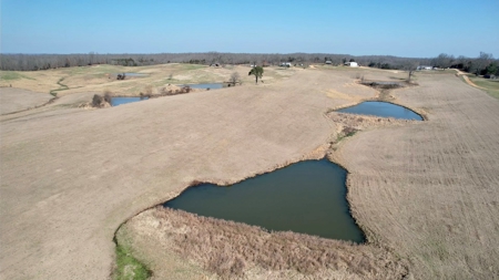 Cattle Ranch and Two Homes Live Water on Acreage in Arkansas - image 12