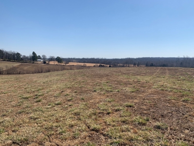 Cattle Ranch and Two Homes Live Water on Acreage in Arkansas - image 40