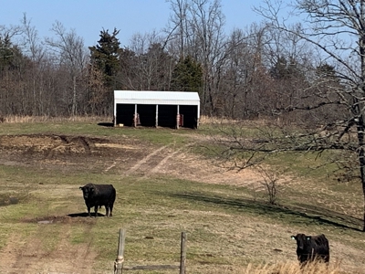 Cattle Ranch and Two Homes Live Water on Acreage in Arkansas - image 34