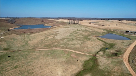Cattle Ranch and Two Homes Live Water on Acreage in Arkansas - image 13