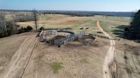 Cattle Ranch and Two Homes Live Water on Acreage in Arkansas - image 6