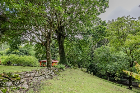 Mountain House With Views And Fruit Trees - image 41