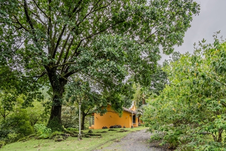 Mountain House With Views And Fruit Trees - image 47
