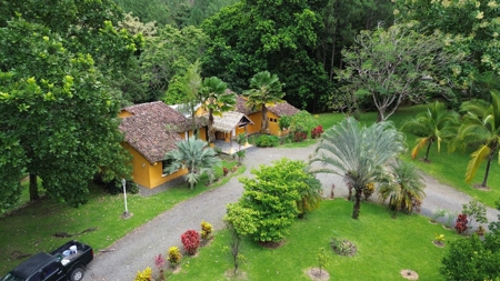 Mountain House With Views And Fruit Trees - image 12