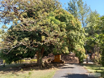 Mountain House With Views And Fruit Trees - image 4