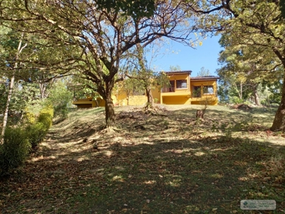 Mountain House With Views And Fruit Trees - image 9