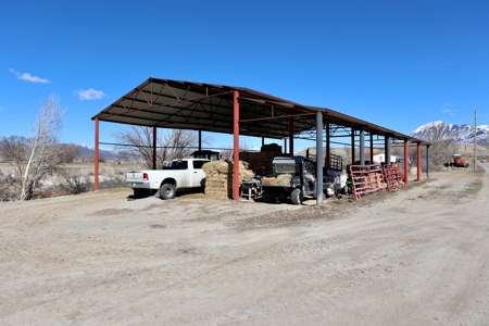 Colorado Mountain Equestrian and Hay Ranch For Sale - image 14