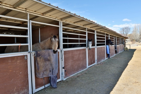 Colorado Mountain Equestrian and Hay Ranch For Sale - image 16