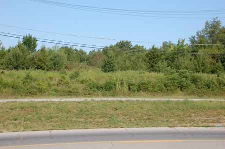 Commercial Land with High Visibility, Endless Possibilities - image 4
