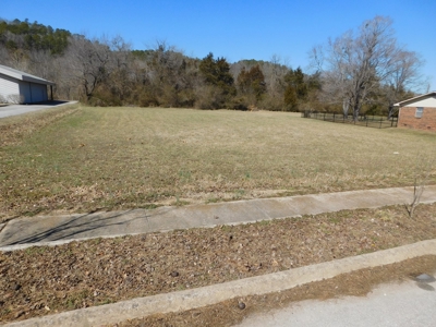 Residential Commercial Prop Little Buffalo River For Sale - image 3