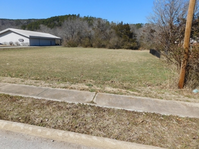 Residential Commercial Prop Little Buffalo River For Sale - image 2