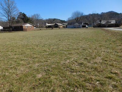 Residential Commercial Prop Little Buffalo River For Sale - image 1