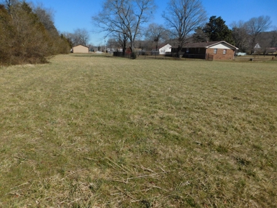 Residential Commercial Prop Little Buffalo River For Sale - image 5
