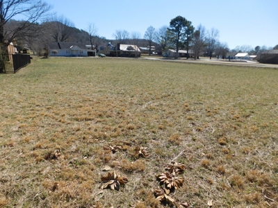 Residential Commercial Prop Little Buffalo River For Sale - image 7