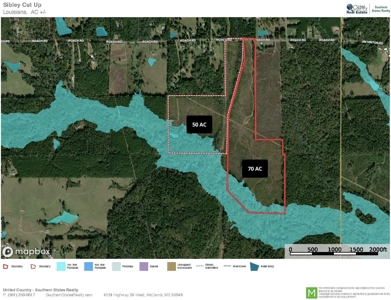 50 Acres Lincoln Parish Timberland for Sale North LA - image 33