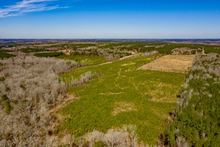 50 Acres Lincoln Parish Timberland for Sale North LA - image 1