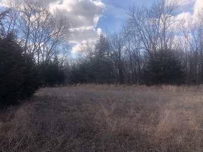 Land For Sale - image 15