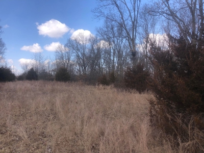 Land For Sale - image 6