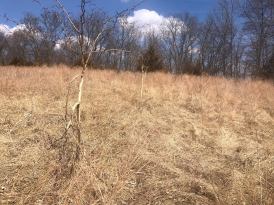 Land For Sale - image 10