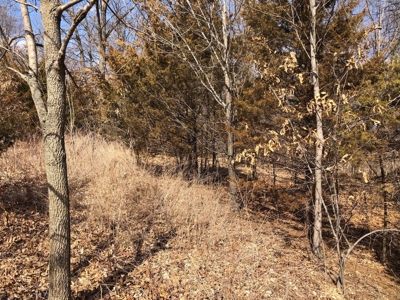 Land For Sale - image 7