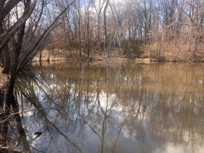 Land For Sale - image 13