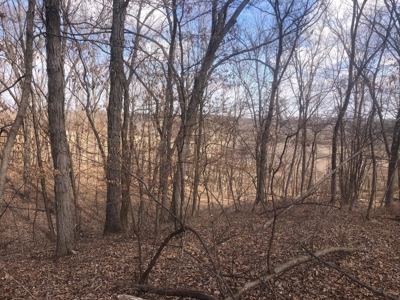 Land For Sale - image 9