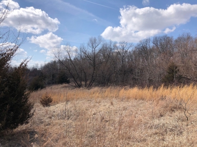 Land For Sale - image 5