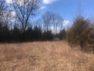 Land For Sale - image 14
