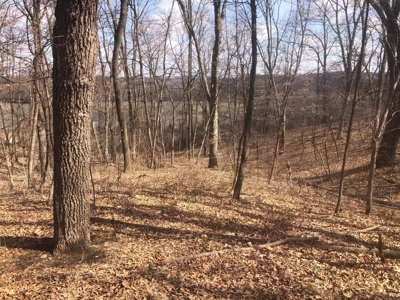 Land For Sale - image 2
