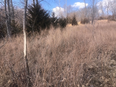 Land For Sale - image 12