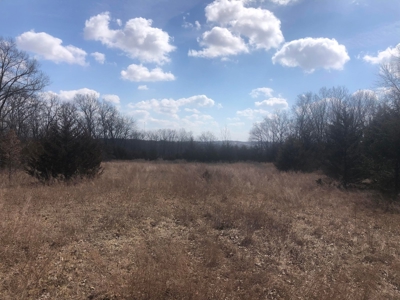 Land For Sale - image 1