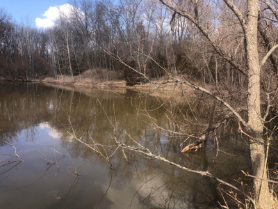 Land For Sale - image 8