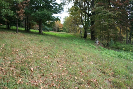 3.4 Acres Of Land For Sell In Patrick County, Va - image 5