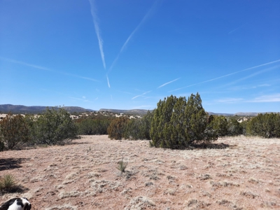 360 Views - image 8