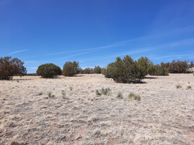 360 Views - image 3