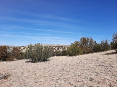 360 Views - image 11