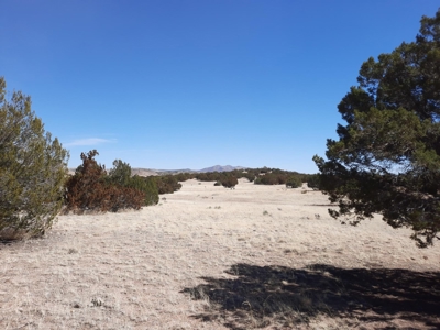 360 Views - image 16