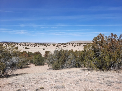 360 Views - image 13