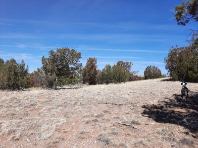 360 Views - image 1