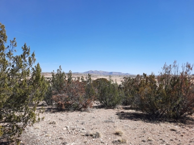 360 Views - image 14