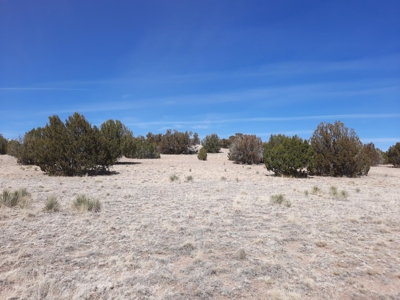 360 Views - image 2